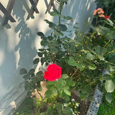 Kъща за гости христина Lozenets