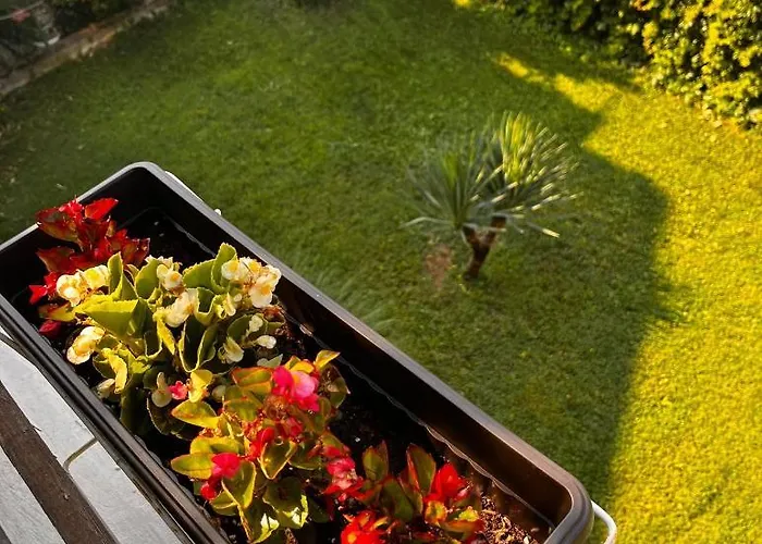 Kъща за гости христина 게스트하우스 로제넷츠