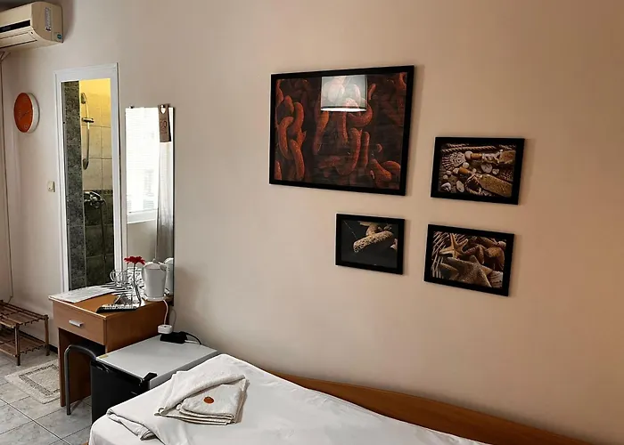 게스트하우스 Kъща за гости христина 로제넷츠