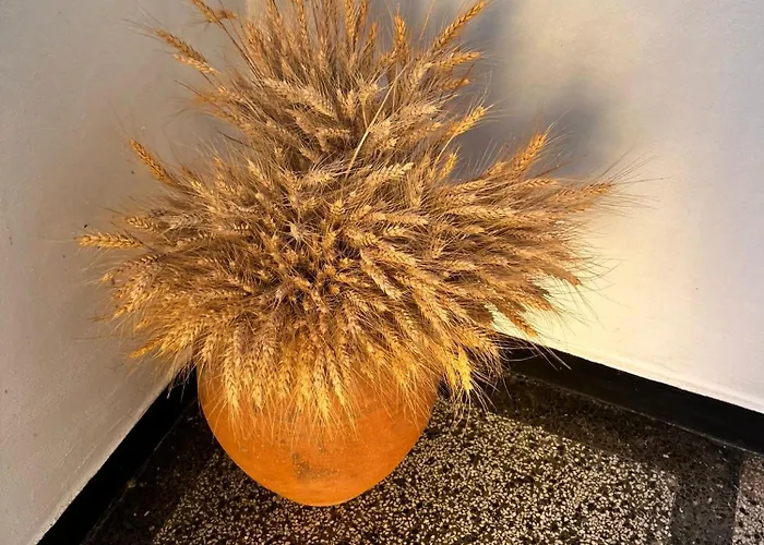 게스트하우스 Kъща за гости христина 로제넷츠