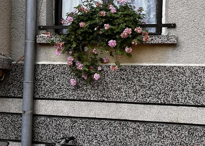 Kъща за гости христина 게스트하우스 로제넷츠